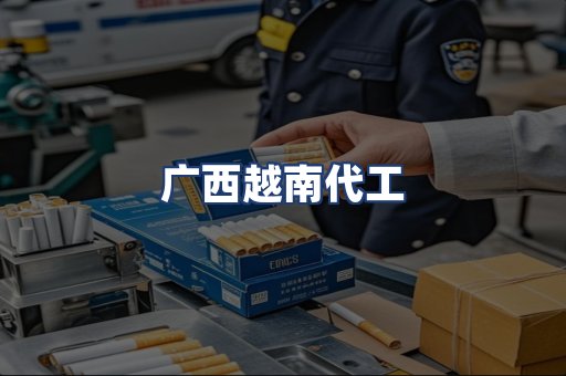 广西越南代工